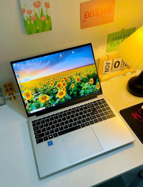 笔记本电脑哪些比较好