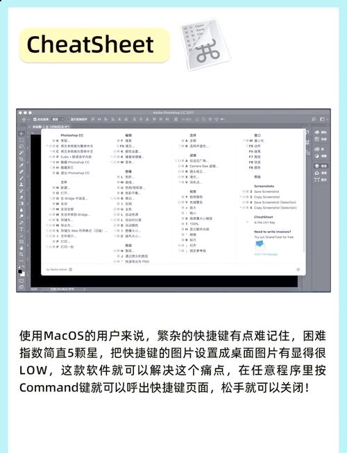 苹果笔记本电脑专业打碟软件叫什么名字