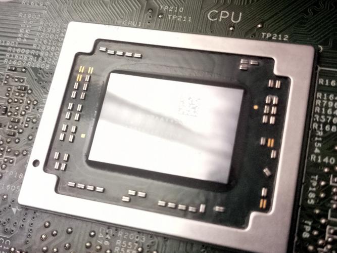 散热器硅脂最建议用哪个