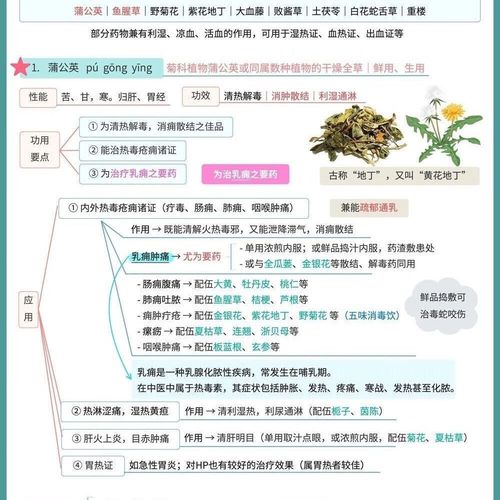 学药学要什么配置的电脑