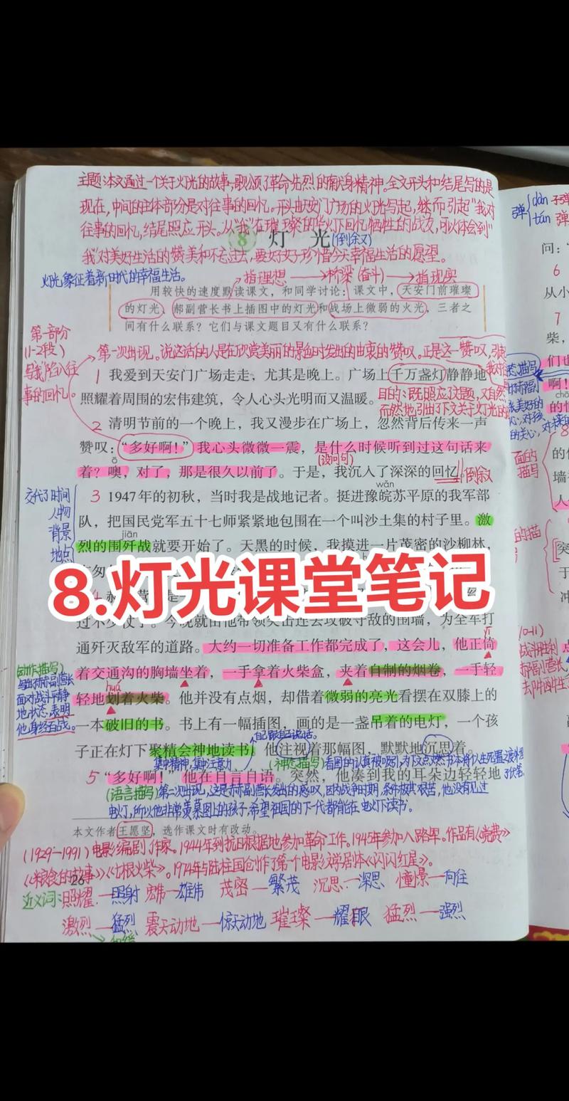 《灯光》这篇课文主要写了什么?