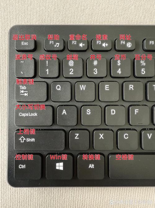 笔记本打字最快的方法?