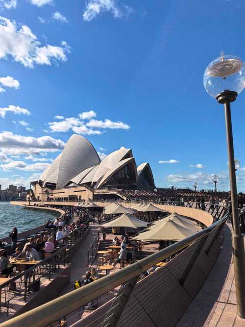 澳洲行前与到澳洲后的注意事项|24年S1入学的同学请注意??