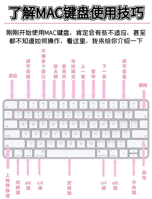 笔记本电脑用什么输入法打字好