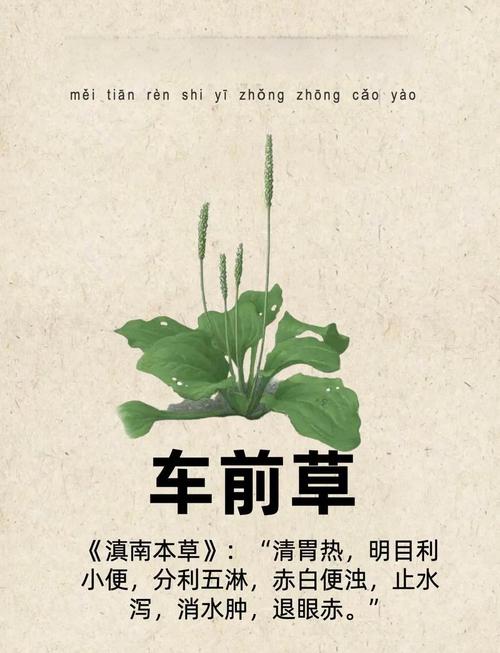 来了!年末好物种草指南!