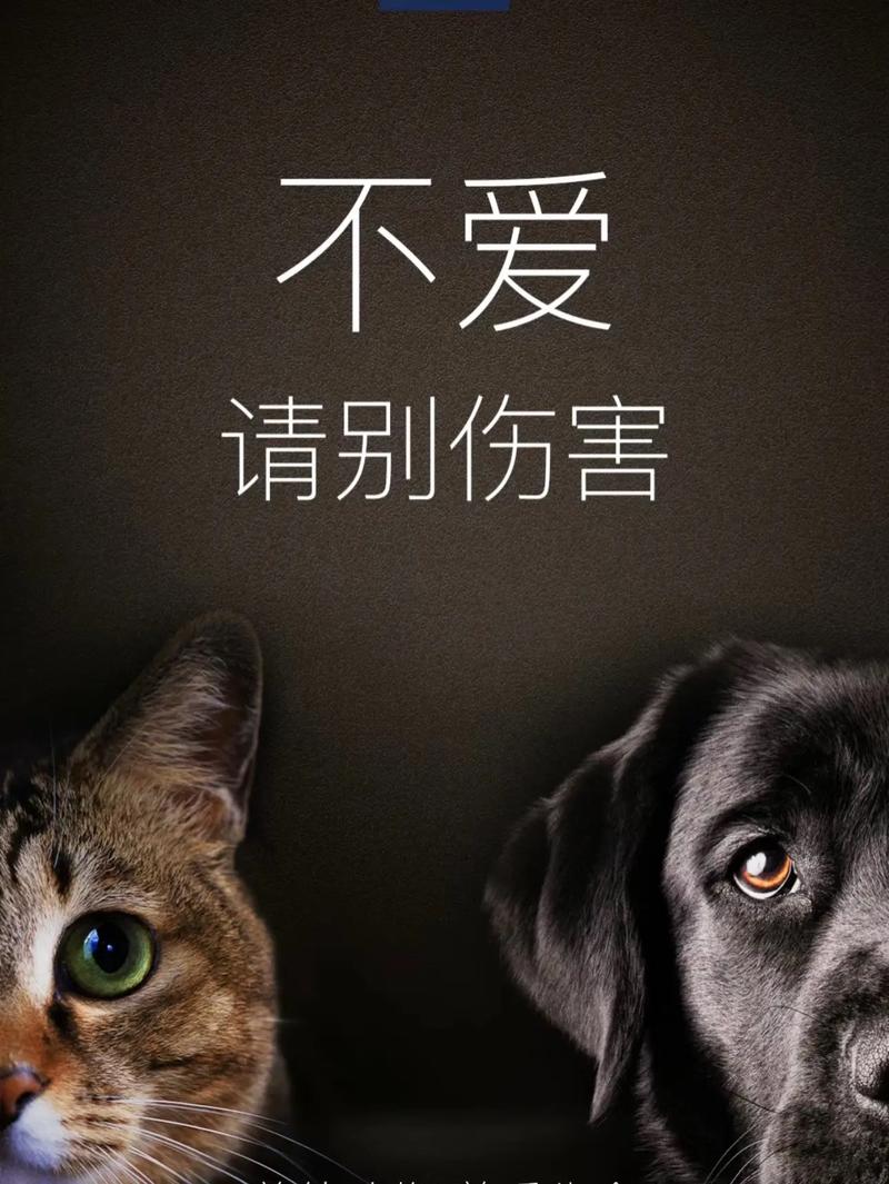 百度、快手,请别伤害知乎!
