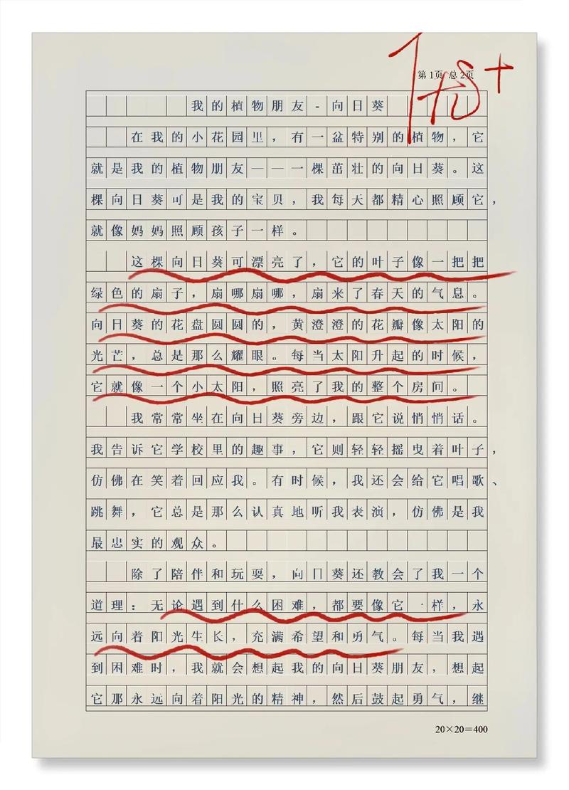 用好字写作文30字