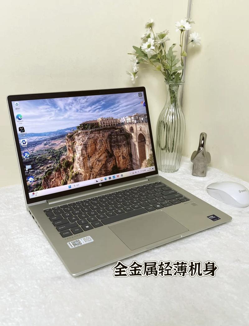 24寸超大屏的手提电脑有哪些