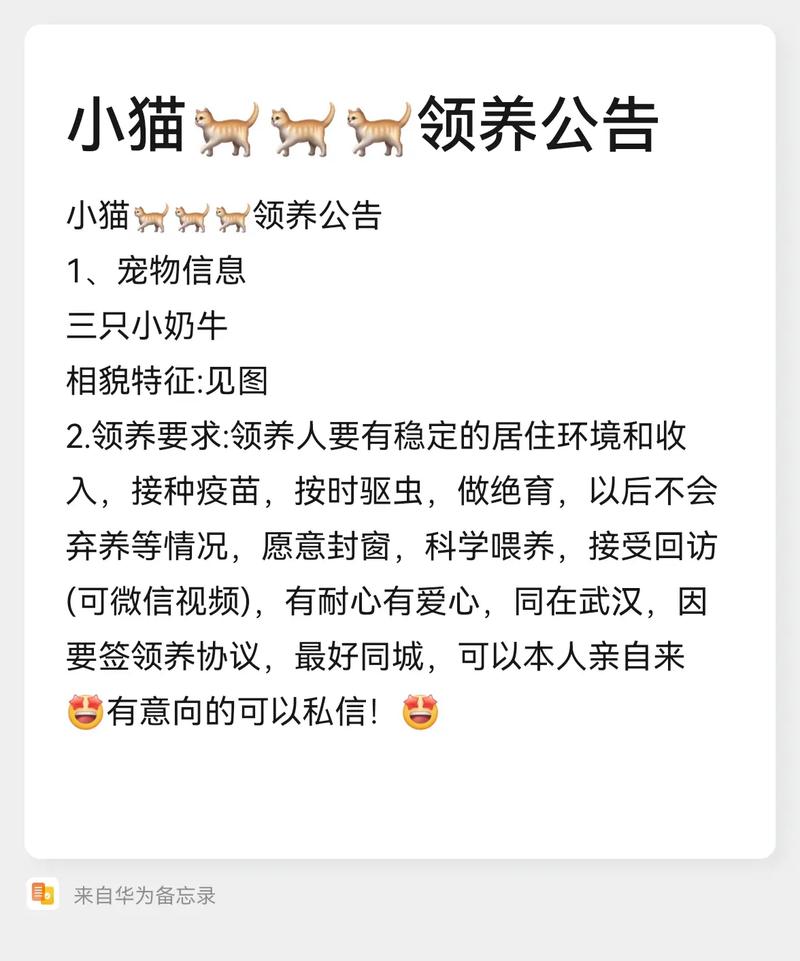 小米电脑的密码宠物叫什么名字