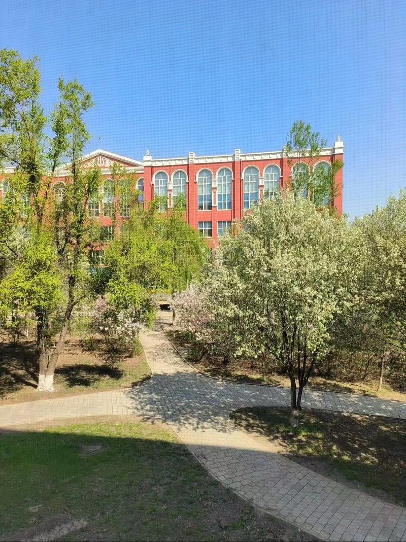 黑龙江外国语学院真的不好?