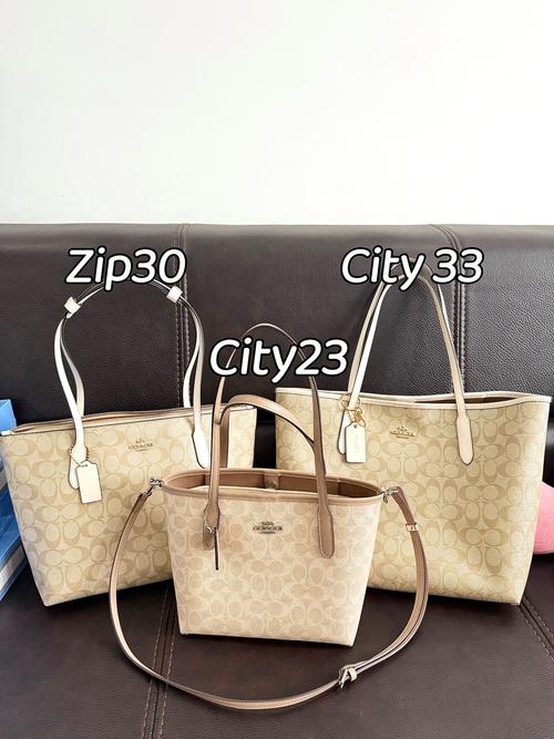 在蔻驰托特系列里,30和33这两个规格选哪个比较合适