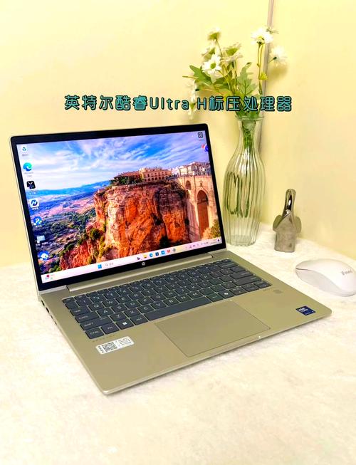 学动漫的买什么牌子的笔记本电脑比较好