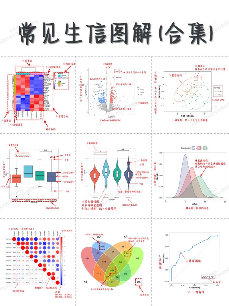 生信分析预算