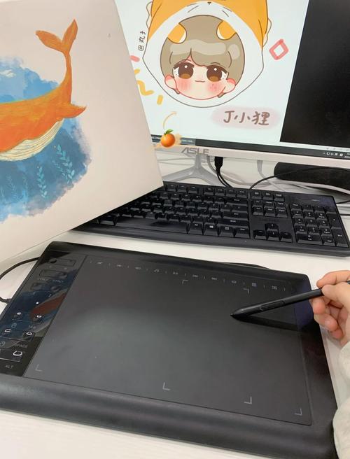 2025年最火的飞机画