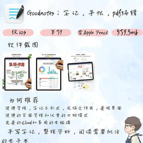 笔记本的文本软件有哪些