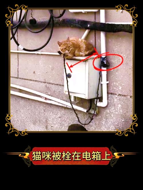 ps1经典游戏,模拟器电脑上能玩的是哪些啊?