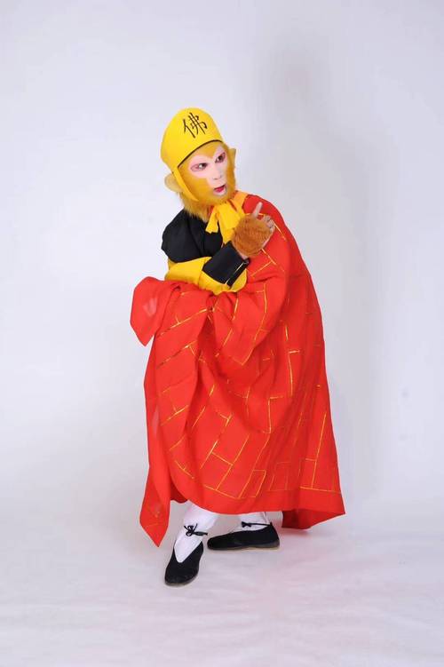 棕黄狗以常见评判标准属于什么档次