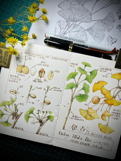 房屋各区域色彩搭配技巧,值得收藏