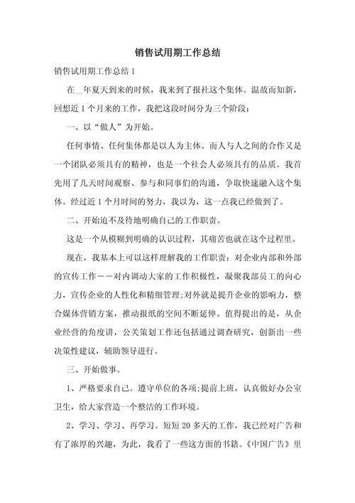 销售经理试用期转正工作总结范文