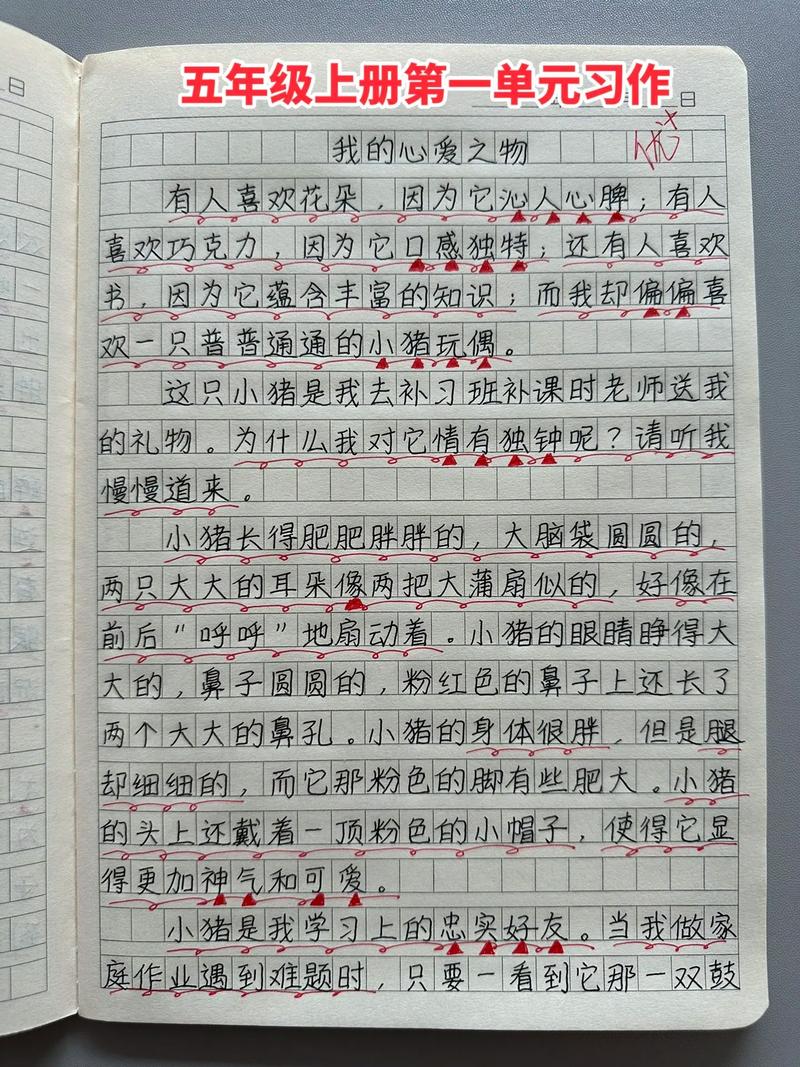 五年级我的心爱之物笔记本作文500字5篇