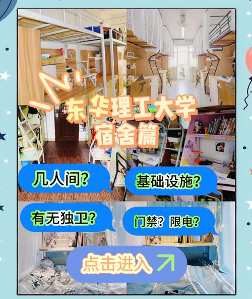 大学宿舍用什么网络比较划算?