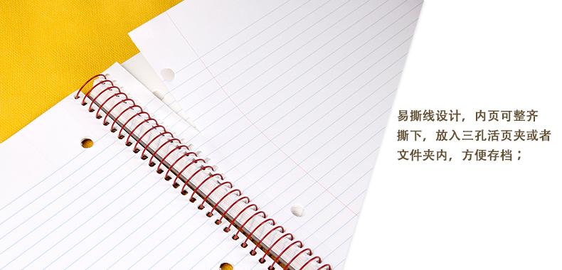 凯萨WritePaper系列软抄笔记本A4/80张3本装-环保再生,时尚实用