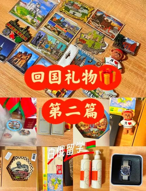 去白俄罗斯留学有什么条件吗?