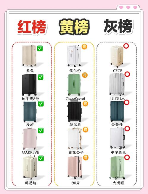拉杆箱二十寸的能放下笔记本电脑吗?