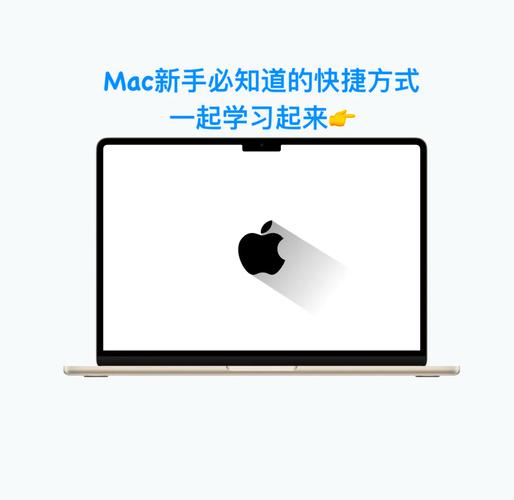 帮忙选取一款笔记本电脑,请不要大段大段的复制粘贴