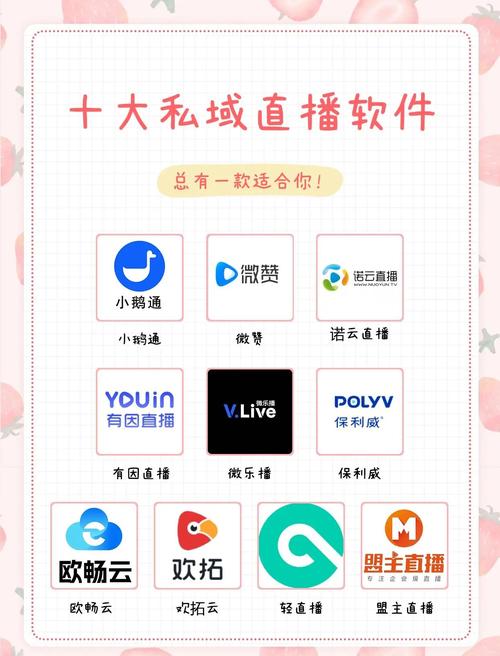依依直播是什么软件