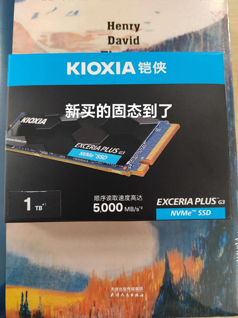 大神请进,台式机用铠侠的固态硬盘可以吗?