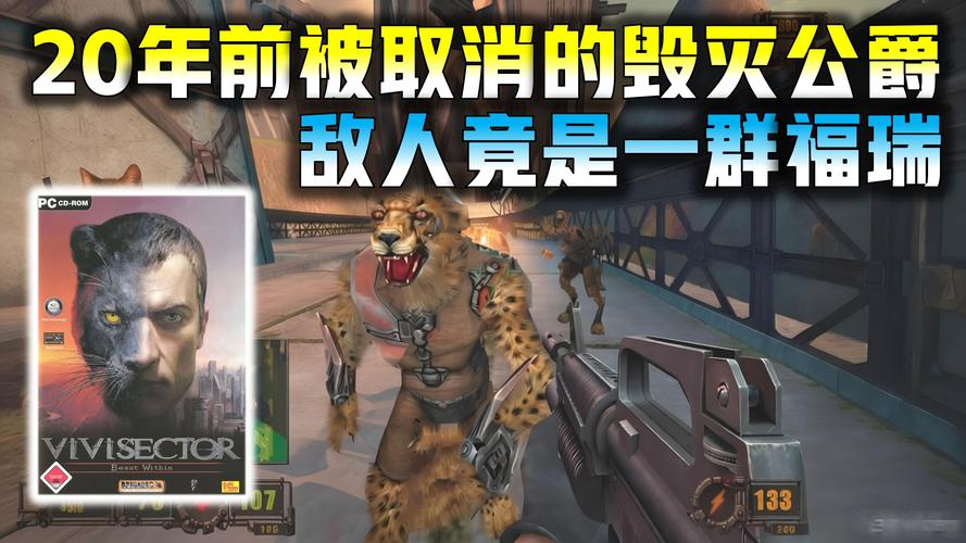 医学解剖的游戏