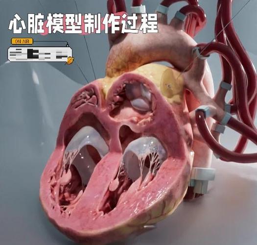 steam上有什么解剖游戏