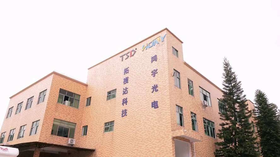 沉渊羽仔简历