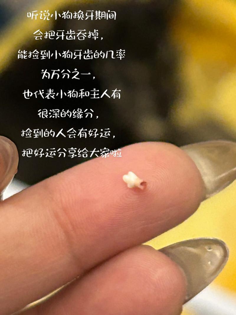 迷你怎么造句