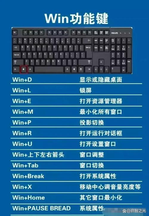 晶核邀请码在哪填