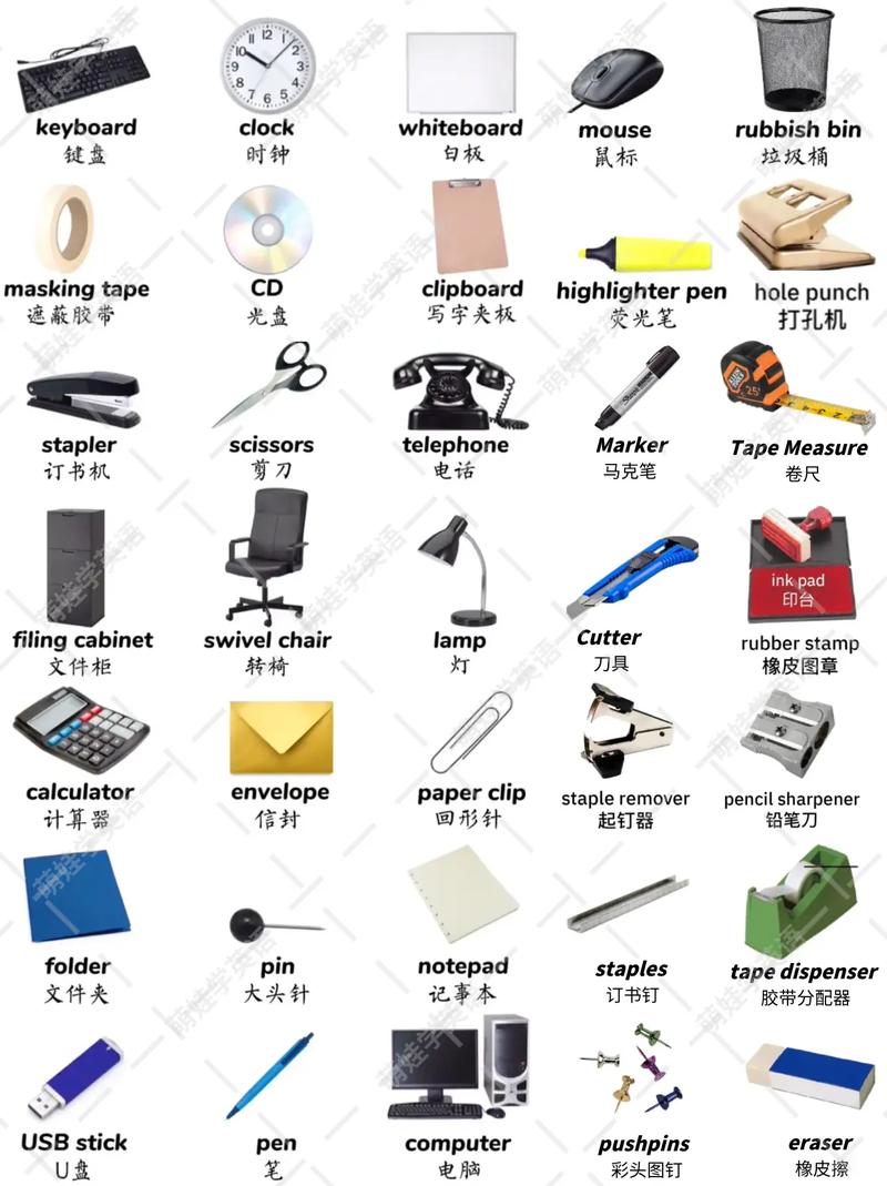 谁知道网球王子青学的个人介绍
