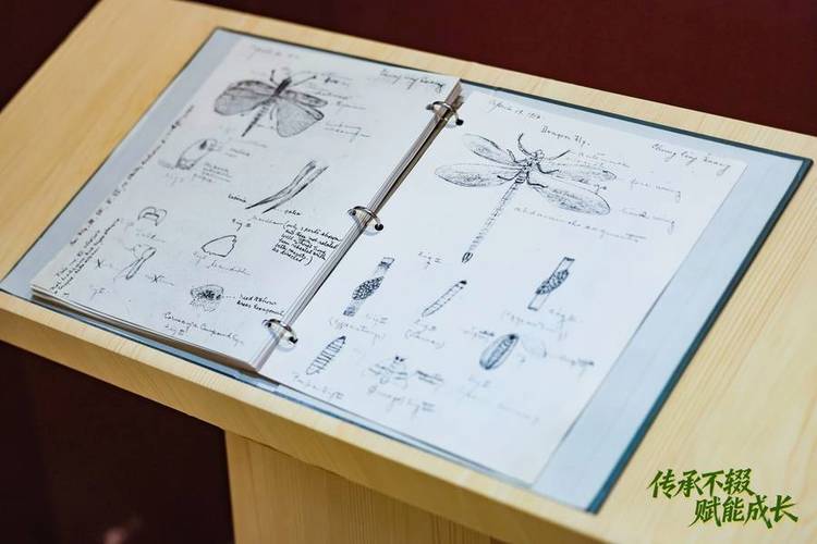 动物科学专业用什么笔记本