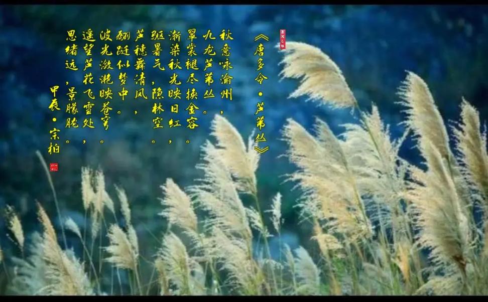 先锋己过玉门关是什么生肖