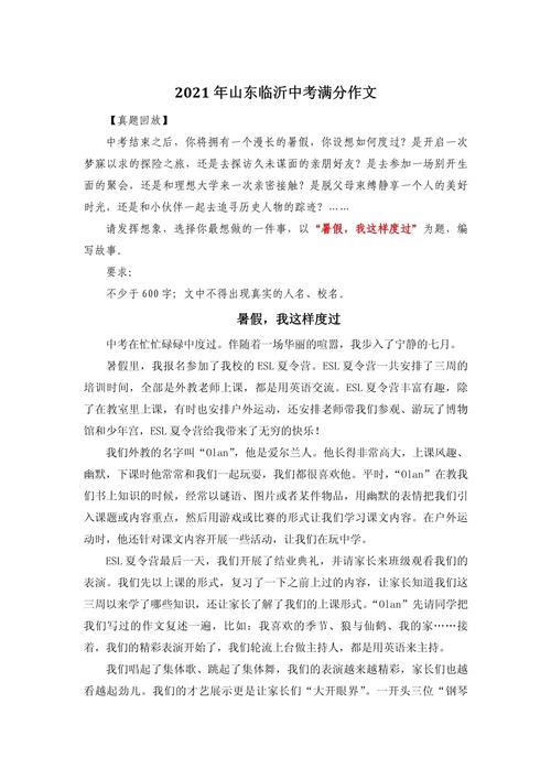 《暑假,我这样过》的命题作文要700字左右