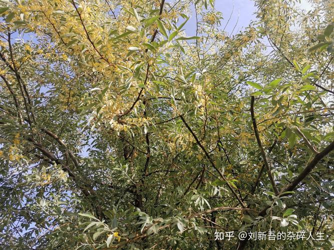 方正电脑是哪个公司方正电脑是那里产的是名牌吗