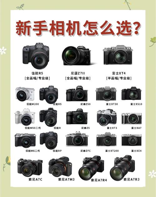 想买数码相机和笔记本电脑,请大家多多指点~