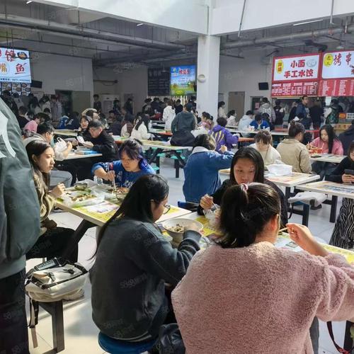 初中生学什么技术好?